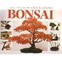 A Step-by-Step Guide to Growing and Displaying Bonsai