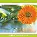 Be yourself(DVD付)