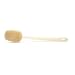 ACCA KAPPA Bioceta Natural Bristle Back Brush 1 ea
