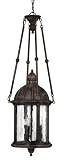 Hinkley Lighting Capitol Hanging Outdoor Lantern - Energy Saving Dark Sky