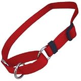 Four Paws Slip- Adjustable Blue Nylon Dog Collar- 14 to 20 length 3/4 width