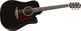 Hohner Guitars CD65CE-TBK Chorus Transparent Black