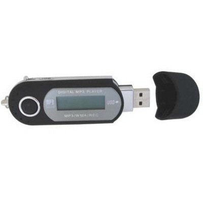 Childrens Toyshop  Electronics : 2Gb Audio Pro (Samsung Memory) USB2 MP3 Player with FM