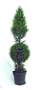 National Tree Company LCYT-700-48 48 Inch Juniper Cone and Ball Topiary Tree in Green Round Plastic Pot