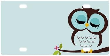 Custom Cartoon Animal Style Abstract Owl License Plate 12" X 6"