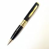 Mini DVR Video Pen Includes 2GB Micro SD Card + Card Adapter - Gold-accented Executive Pen w/Micro SD Slot Expandable to 8gb