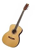 Musical Instruments : Washburn D10 Series Folk Style Acoustic Guitar