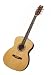 Washburn D10 Series Folk Style Acoustic Guitar