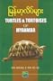 Turtles & Tortoises of Myanmar