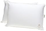 Tommy Bahama 275-Thread Count Sateen Embroidered 2-Pack Pillow, Jumbo