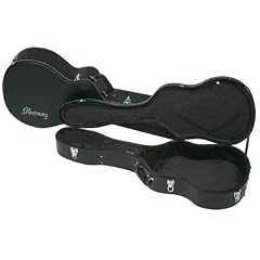 W50AE Ibanez Koffer f�r Akustikgitarre