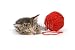 Wallmonkeys Peel and Stick Wall Decals - Cat Nap - Removable Graphic