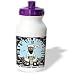 Rich Diesslins Funny General - Editorial Cartoons - Osama Bin Stupid - World Turns Unites Against Terrorism briefly - Water Bottles