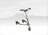 Trikke T5 Version 2 Black Scooter