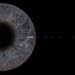 Music : Closer