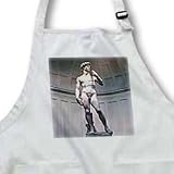 Art - Michaelangelos David Statue - Aprons