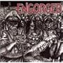 Engorged