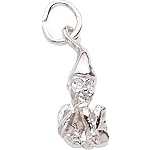 leprechaun charm