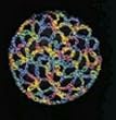 Rainbow Hair Net Crocheted Hair Bun Cover- MEDIUM