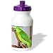 Birds - Yellow Nape Parrot - Water Bottles