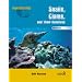 Mollusks: Snails, Clams, and Their Relatives (Invertebrates)