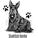 Scottish Terrier Womens Scoop Neck T-Shirt