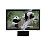 24IN Ws LCD 10000:1 1920X1080 E2400HD Piano Blk Dvi 2MS Headphone