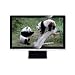 24IN Ws LCD 10000:1 1920X1080 E2400HD Piano Blk Dvi 2MS Headphone