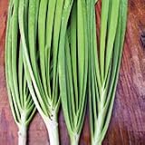Organic Nira Chives - 100 Seeds - Herb - B001F5T9QU