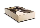 LaCie Golden Disk 500GB USB 2.0 - 7200 - 8MB