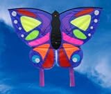 Spirit of Air Exotic Butterfly