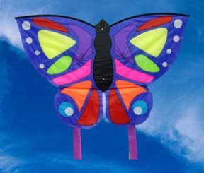 Childrens Toyshop  Toys : Exotic Butterfly