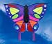 Exotic
Butterfly