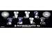 Baltimore Ravens 5