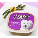 Cesar Gourmet Filets In Sauce Canine Cuisine Filet Mignon Flavor (24/3.5-oz cans)