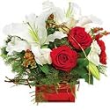 Lilies - Lily, Rose & Holly(Valentines Offer: Free Shipping)
