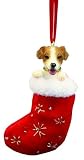 Jack Russell Puppy Ornament in Christmas Stocking