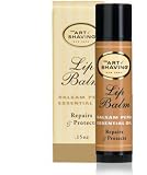 Art of Shaving Lip Balm (0.5 oz)