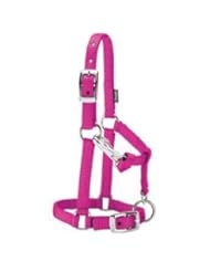 Weaver Leather Miniature Horse Mini Horse Nylon Halter Pink Tack