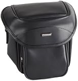 Fujifilm 600007019 SC-FXS100 Leather Case for Fuji S100fs, S2000HD, S8100fd and S1000fd Digital Camera