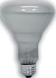 GE 89733 60 Watt Edison Halogen Floodlight BR30 Light Bulb, 6-Pack