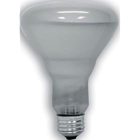 GE 89733 60 Watt Edison Halogen Floodlight BR30 Light Bulb, 6-Pack by General Electric
