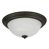 Buy American Fluorescent C4118RBSCT Canterbury Flush Mount 1-Lamp 18-Watt Light... by American Fluorescent