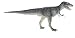 Carnegie Collection-  Albertosaurus