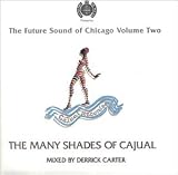 Revue Derrick Carter  / The Future Sound of Chicago, Vol. 2