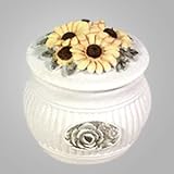 Yellow Dazzler Box from Wales