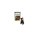 Wake Up, Black Bear! (Smithsonian Odyssey, Reading Level 1) (Smithsonian Odyssey, Reading Level 1)