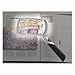 UltraOptix LED Lighted Folding Magnifier 3x