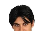 Rubies Costume Co Mens Charlie Sheen Wig
