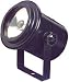 PAR 36 PIN SPOTLIGHT